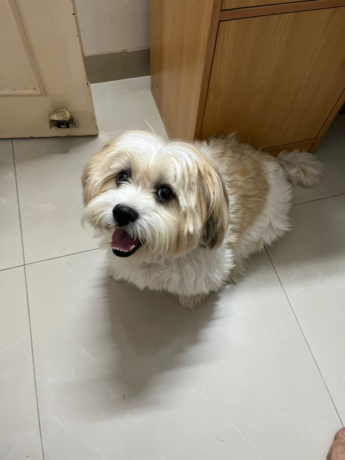 Annie